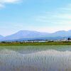 「立夏」水田に阿蘇五岳（熊本県）