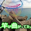 遠州灘の"サーフ"と”堤防テトラ帯”の様子が前回と違いました🐟田原サーフ【釣行日2024/2/9(金)】