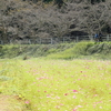 EF85mm F1.2L II USM