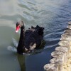 偕楽園〜赤塚ほか