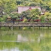 井の頭池（東京都吉祥寺）