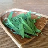 キヌヤサがやっと撮れました。