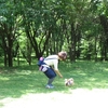 短いリードで物理的に人のそばにいさせるリスク回避が犬のフラストレーションからの攻撃行動を招きやすい