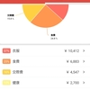 家計簿(6/1～6/8)