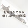 日光浴ができるぼくだけの特等席
