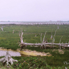 北海道 根室-美深（2007. July）