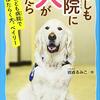 【E越に名指し批判？「沖縄」での艱難辛苦「プロ野球」ここまで言って委員会344】メランコリー親父のやきう日誌 《2023年6月29日版》