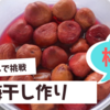【梅干し】ならぬ【桃干し】に挑戦