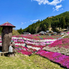 4月11日(日)と、５月からはじめることについて