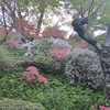 千秋公園のツツジ　ライトアップもあります（秋田県秋田市）