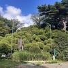 【白子熊野神社富士塚】和光市の富士塚３基を一気めぐり～開運利益洞窟も忘れずに！