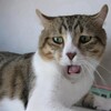 汚いものは全部なげる(-_-#)