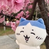 推し活には工場勤務をおすすめする