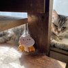 ねこ87話　くろずのくーさん。