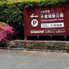 さつき咲き美人に出会う散歩道