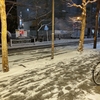 大雪渋滞からの帰還