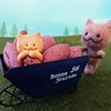 第15回まるたま市出店者紹介：いもねこSHOP