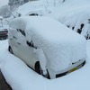 Finally we had 30 centimeters of snow last weekend in Nagano