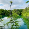 ６月　一歩が踏み出せない