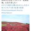 【コキア】紅葉見頃を祝して…2017年10月11日の【ひたち海浜公園】