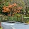 東山ふれあい橋付近が賑やか