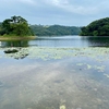 多鯰ヶ池（鳥取県鳥取）