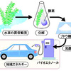 琵琶湖の水草から「バイオ燃料」 エタノール生成に成功の事。