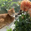 知らない人に喋るな