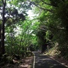 屋久島に行ってきました＾＾　元移住者が巡るおすすめの屋久島　ドライブ編