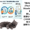 「技の透明化現象」ネーミング完了