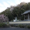 多摩川桜百景　－ 88. 圓通寺－