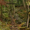 　鳩ノ巣渓谷の紅葉〜白丸ダム〜奥多摩駅近くの工場