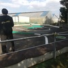 ３月４日　明日船橋店は朝から開けてます。