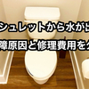【ウォシュレットから水が出ない！】修理費用は13,990円だった