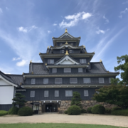 日本のお城が大好きだと叫びたい人の雑記 日本のお城が大好きだと叫びたい人の雑記