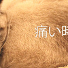 精神関係のブログってなんだかんだ言っておいて「最終的に生きましょう」