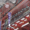 【冬の奈良】白銀のへ。雪に輝く朱色の社殿と絶品「串こんにゃく」