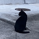 私的日常