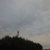 今週末も曇りか・・・