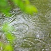 雨降りの日に…