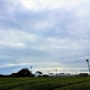 浜ちゃん散歩道(４８０)　　夕方は夕陽を見ることはできなかった。夕暮れになって夜間飛行訓練が始まった。