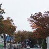 １１月６日　店景色★　千葉県船橋市北習志野ウツワヤマワ