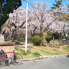 【まったり自転車】コロナ去りて、さくら咲く ＜乗り日：2023年4月1日（土）＞