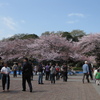 春の東京を感じる旅♪