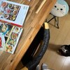 いつものくろたまと、初めてのレシピ本