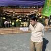 宗像大社①一番のお楽しみの鯉のエサやりが……