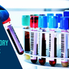 Clinical Laboratory Services Market Size, Segment Analysis and Forecast Report 2024