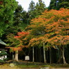 紅葉の阿弥陀寺と龍馬の墓参り