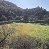 秋の里山、癒しの森