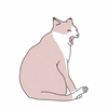 『illust AC』にイラストを掲載しました。あくびする猫/怒っている猫